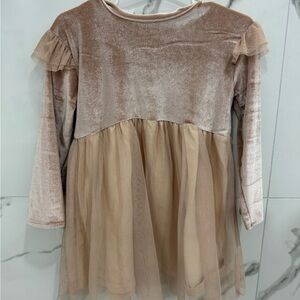 Zara Girls Velvet Tull Dress in Light Pink